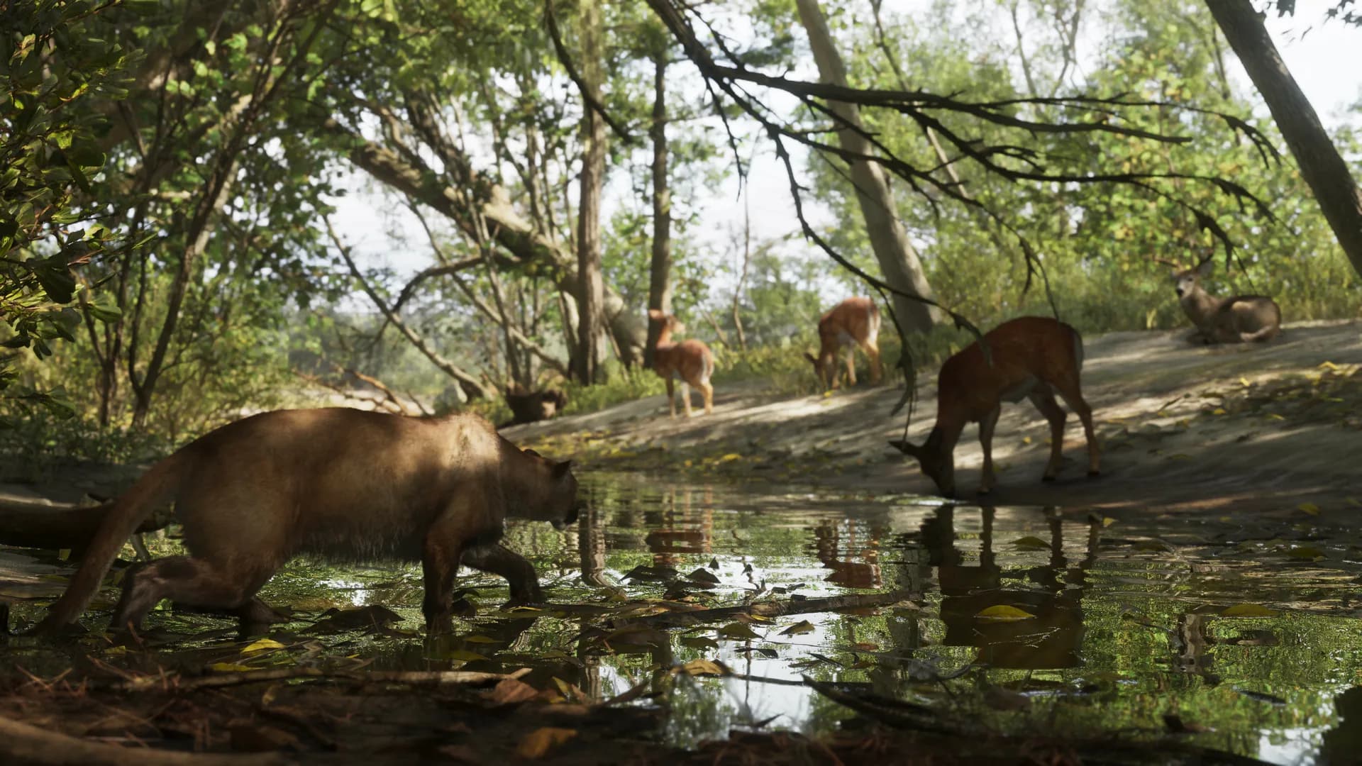 Imagem oficial da Rockstar Games: Mount Kalaga National Park 05